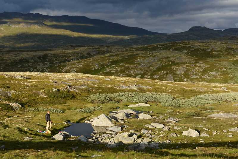Wandern auf der Hardangervidda